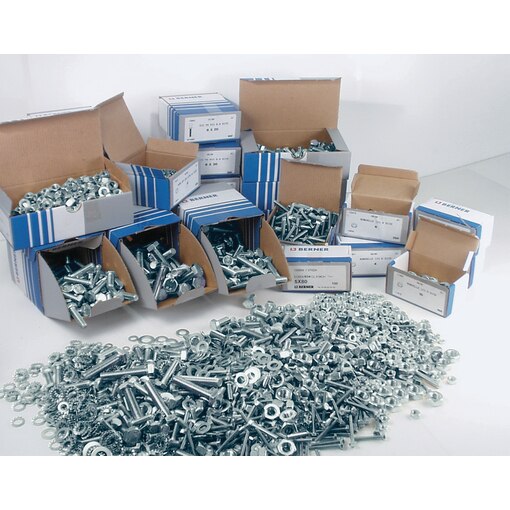 Assort. boulonnerie métrique TH 3 - 8,8 zinguée blanc M 6-12 mm 6650 pcs
